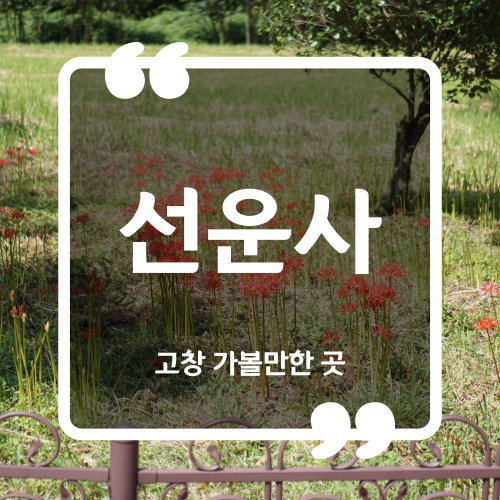  고창 선운사 꽃무릇 개화 상황 입장료 주차요금