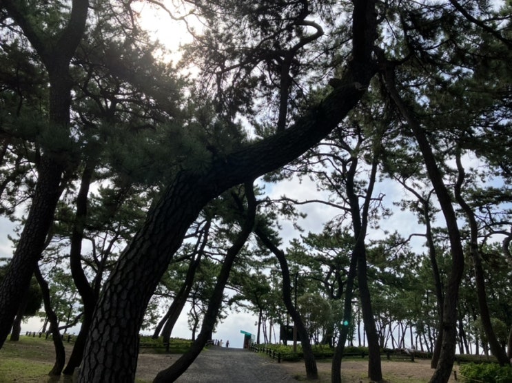 짧았던 추석 연휴가 끝나고 다시 일상으로 돌아온 오늘, 연휴 후유증을 극복하는 나의 꿀팁은? 짧았던 추석 연휴가 끝나고 다시 일상으로 돌아온 오늘, 연휴 후유증을 극복하는 나의 꿀팁은?