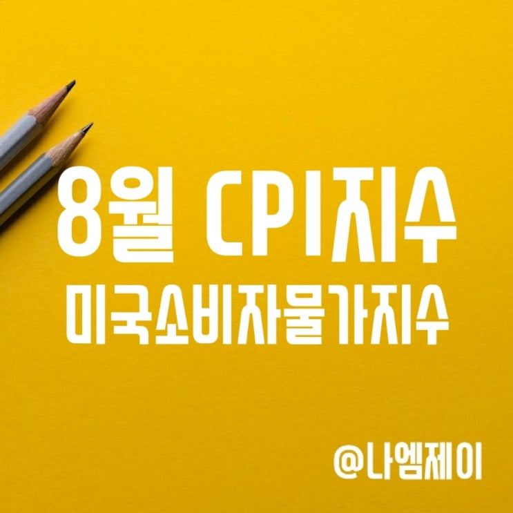 8월 미국소비자물가지수 CPI 발표 - 나스닥 주가/비트코인 급락 8월 미국소비자물가지수 CPI 발표 - 나스닥 주가/비트코인 급락