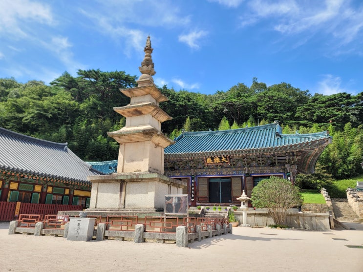  울산 언양 가볼 만한 곳!! 울주군 가지산 사찰 '석남사', 조용한 산속 사찰에서 트레킹 하기 좋아요~ (주차장 및 입장료 정보)