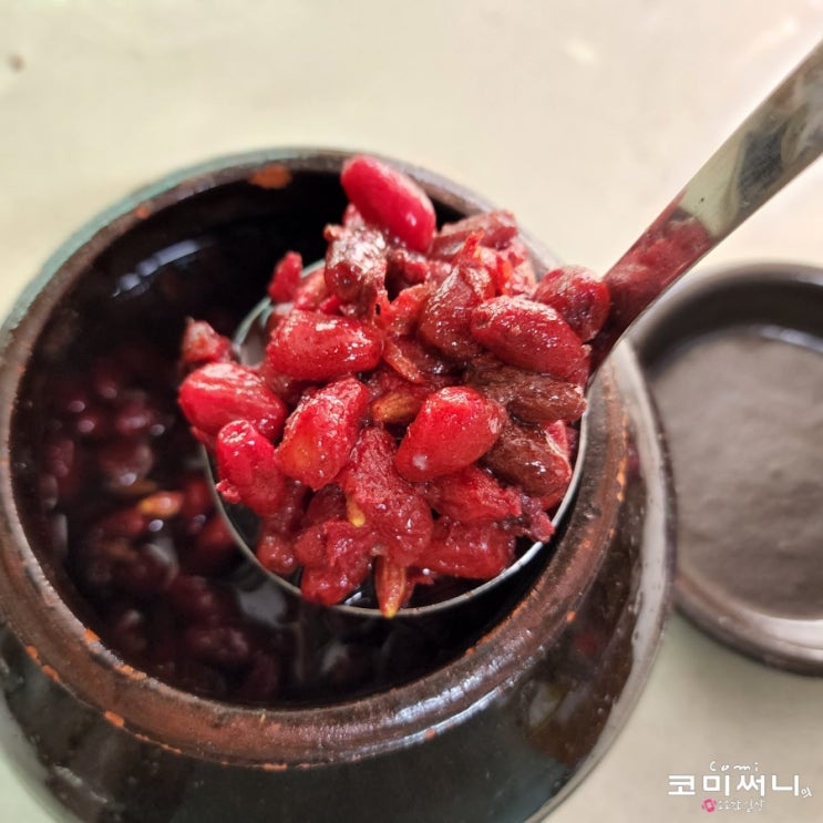 보리수 열매로 보리수청 만드는 법 (숙성 후 보리수청 맛과 보리수 효능) 보리수 열매로 보리수청 만드는 법 (숙성 후 보리수청 맛과 보리수 효능)