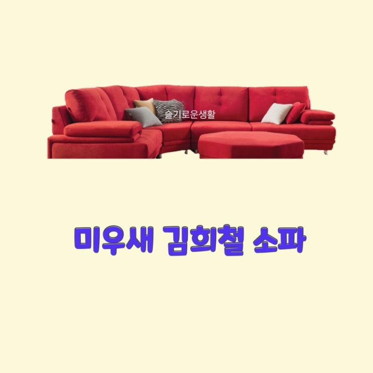  김희철 미운우리새끼309회 빨간 소파 새집 집들이 흰테리어