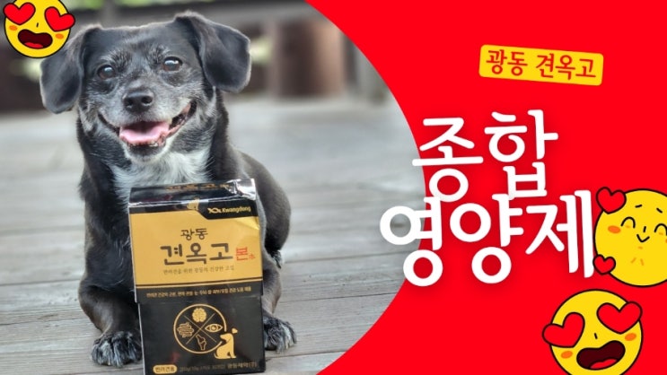 강아지 종합영양제 견옥고 본으로 면역력 챙기기 강아지 종합영양제 견옥고 본으로 면역력 챙기기