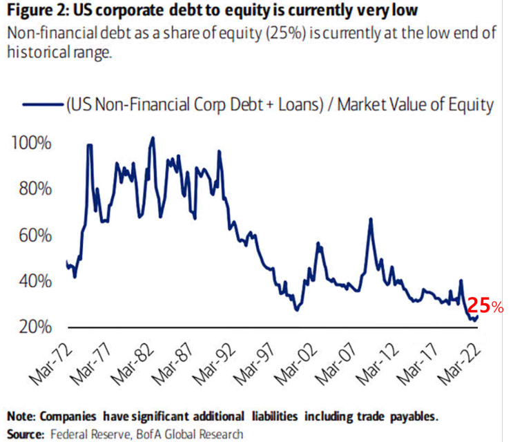 미국기업 부채비율( Debt to Equity )