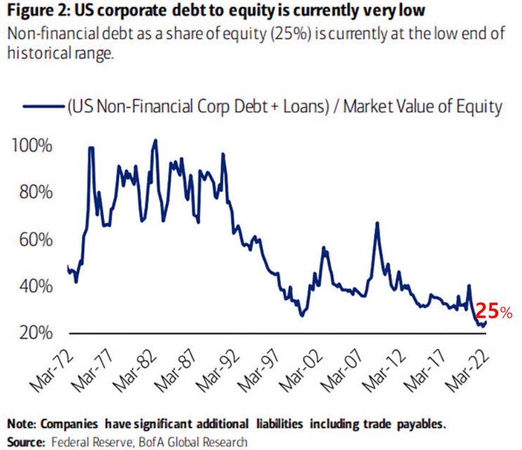  미국기업 부채비율( Debt to Equity )
