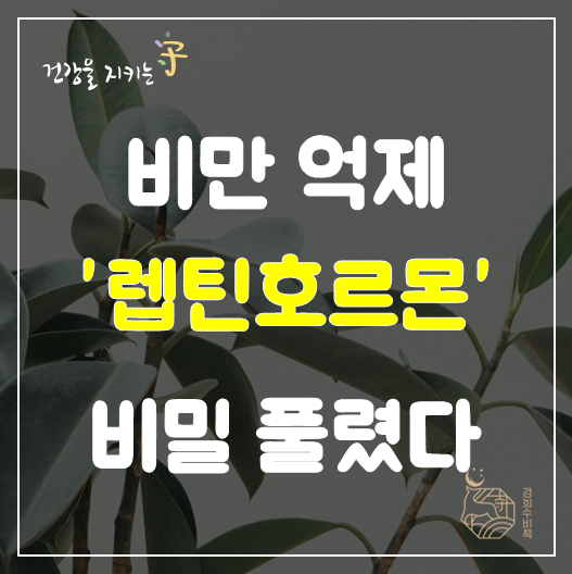  식욕억제가 힘든 이유 : 비만의 원인 호르몬 '렙틴' 의 비밀 풀렸다. 복부비만 해결의 실마리 억제 방법, 동탄 해독 다이어트 한약 환자 이야기