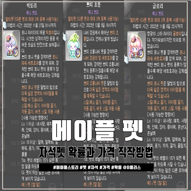 메이플 자석펫 확률과 가격, 메이플스토리 펫 정보 : 네이버 블로그
