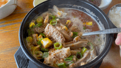  [제주 한림 맛집] 삼일식당