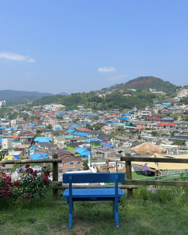  묵호 여행 가볼만한 곳 I 도째비스카이밸리 논골담길 천곡황금박쥐동굴 한섬감성바닷길