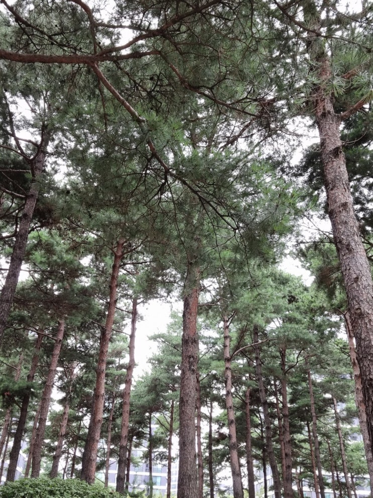  ［공유 오피스 운영자의 단상 #25］c은퇴생활에서 명절이 끝난 후 여러분의 일상은 어떠신가요?