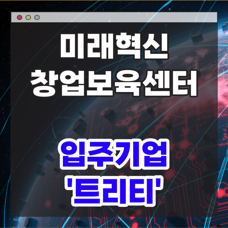 메타버스를 이용한 서비스 제공 창업보육센터 입주기업 : 트리티