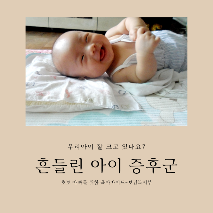 육아가이드/흔들린 아이 증후군 조심하세요.