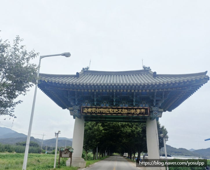 대구 근교 가볼만한곳 도리사 힐링하러 가보세요 대구 근교 가볼만한곳 도리사 힐링하러 가보세요