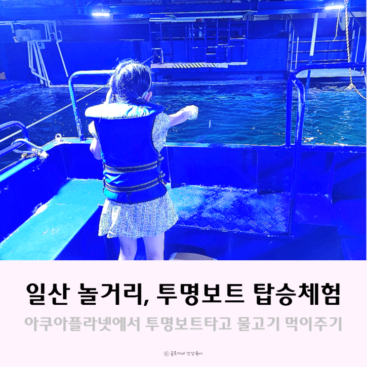 일산 놀거리, 초1 아이와 아쿠아리움에서 투명보트 먹이주기 체험 후기 일산 놀거리, 초1 아이와 아쿠아리움에서 투명보트 먹이주기 체험 후기
