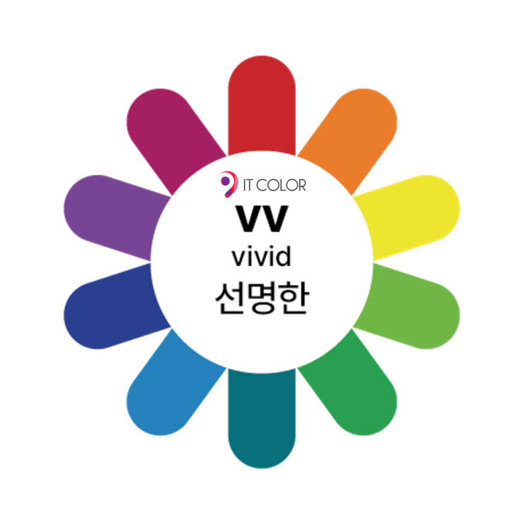 비비드 톤 vivid tone 특징 (패션, 인테리어, 스타일 등)