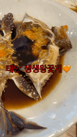  [태안 안면도 맛집] “생생왕꽃게”  게국지 인정!!!