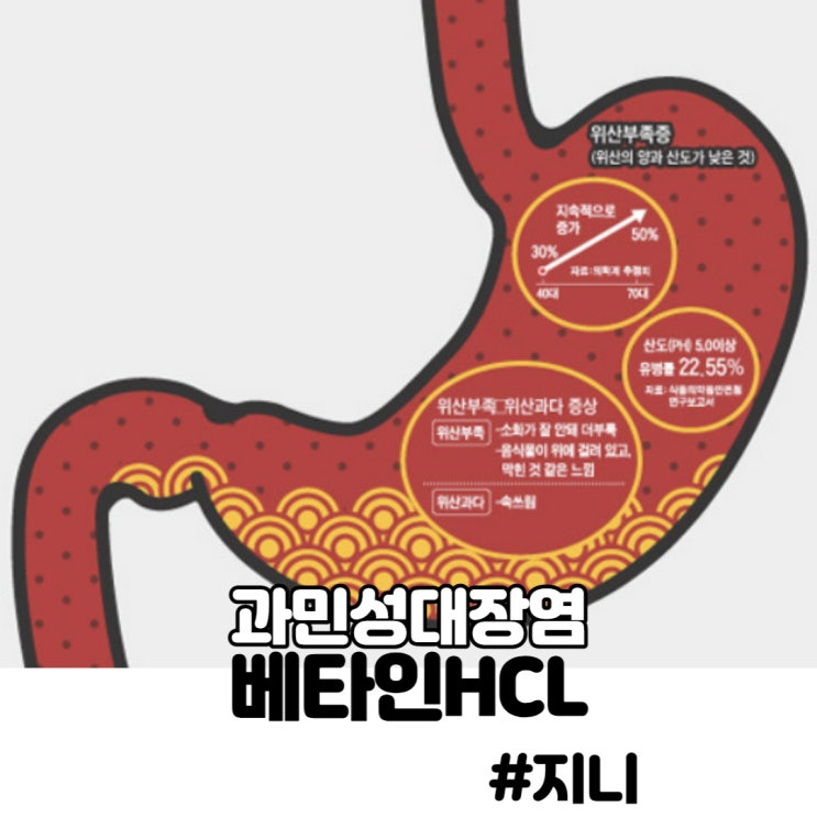 과민성대장염(증후군) 영양제 - 베타인HCL