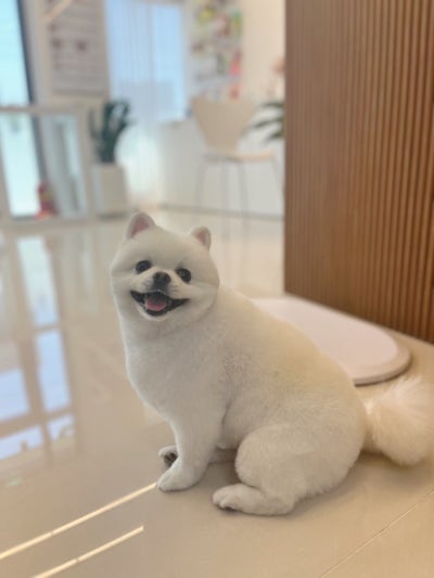 사진 3