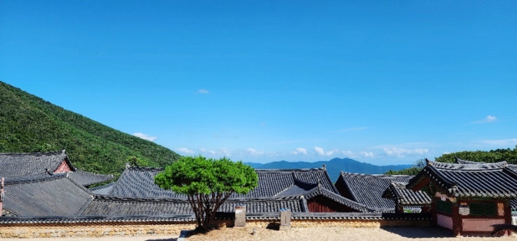  연휴 후유증 Post-vacation blues 이겨내기