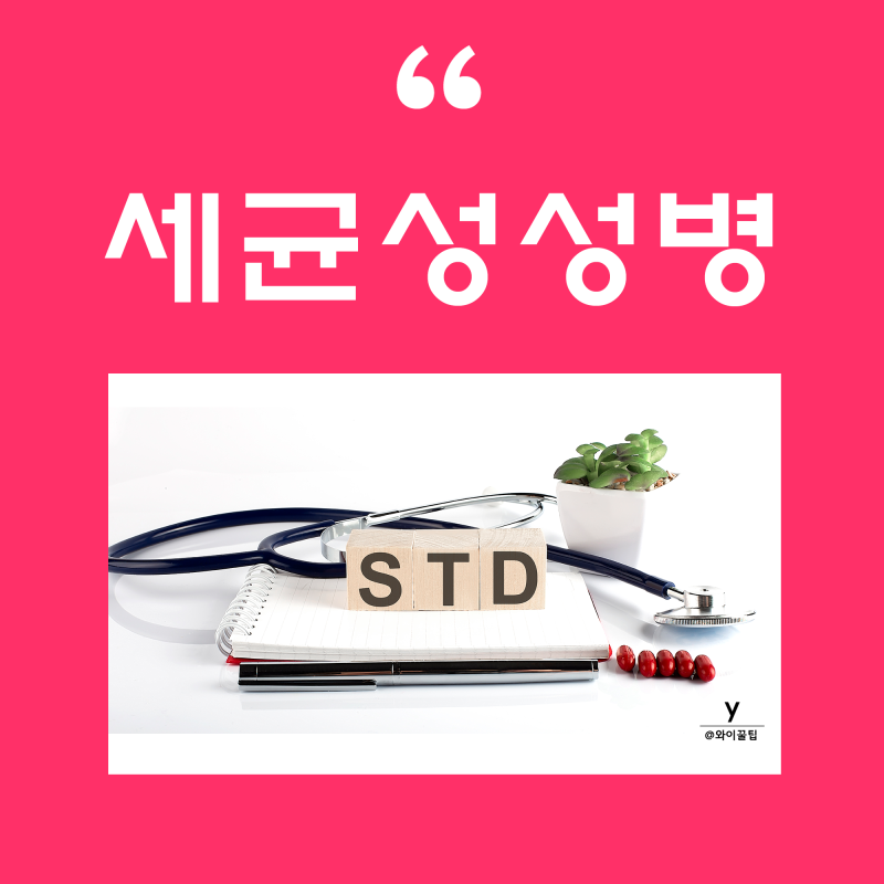 세균성 성병 종류 : 매독 임질 클라미디아 원인 남자 여자 증상 여성 남성 치료 임질균 STD : 네이버 블로그