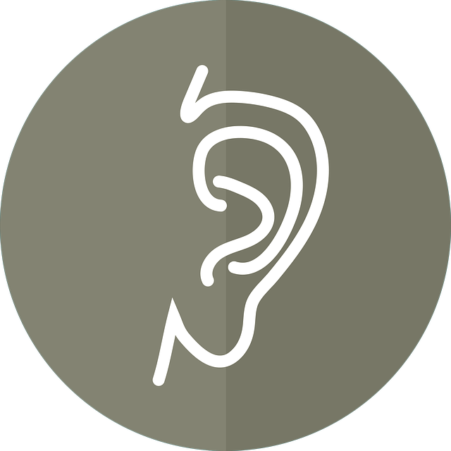 귀에 발생하는 질환, 귀경화증이란