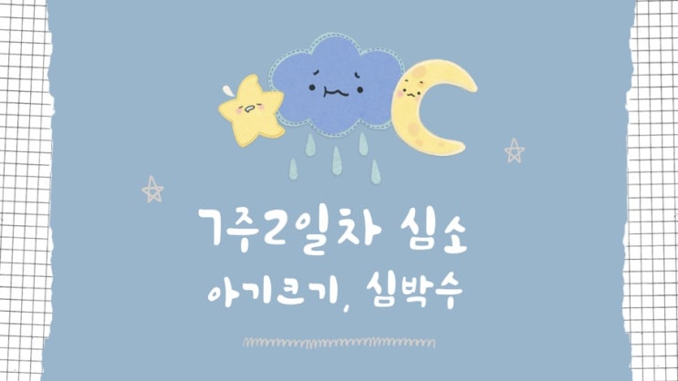  [난임일기 #20] 감자와 눈사람 시험관 시술 - 6주4일 ~ 7주3일 증상기록, 남편 심장소리 들려준 날