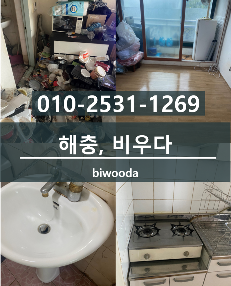  비우다 생활 정보! 해충방지, 여름철 벌레 어떻게 할까!