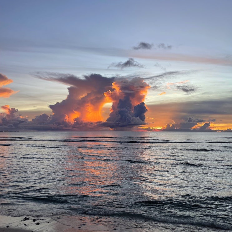  최고 행복했던 일주일 in Guam #2편