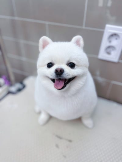 사진 2