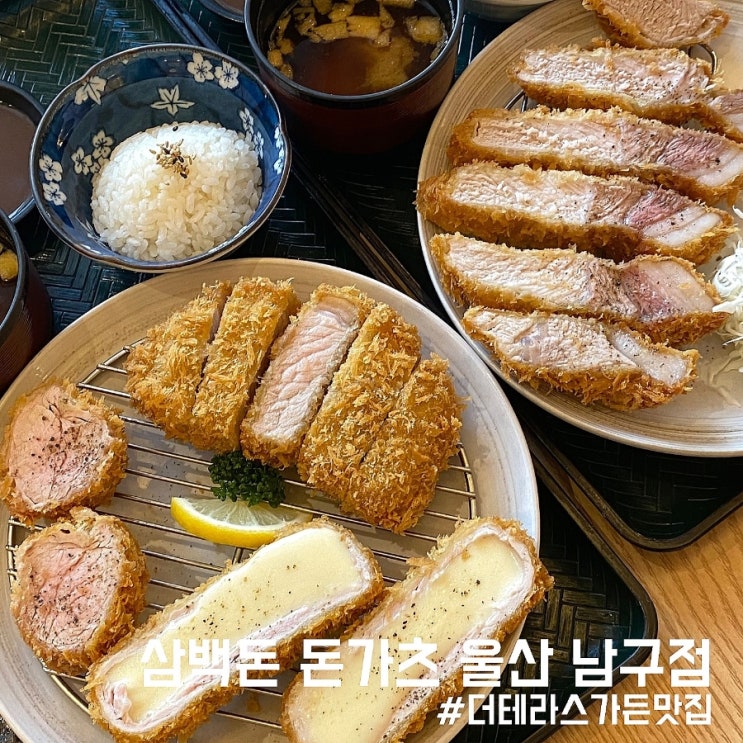  울산 삼산 더테라스가든 맛집/돈까스 4종을 한번에 맛볼 수 있는 삼백돈 돈가츠 울산 남구점!