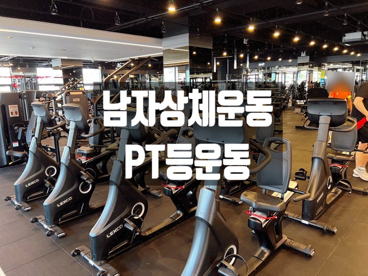  신암동헬스장 PT 남자상체운동 등운동 애티튜드짐