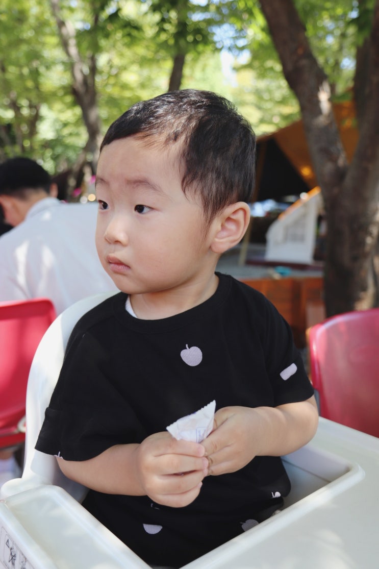  아기성장발달계산기로 확인해 본 22개월 아기발달