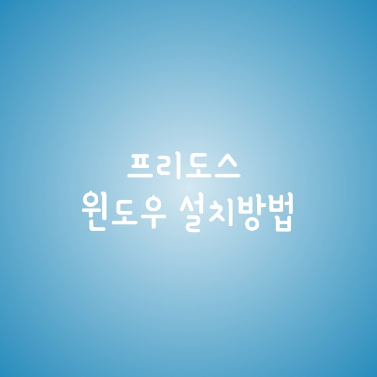  프리도스 윈도우 설치 방법 feat. LG 그램
