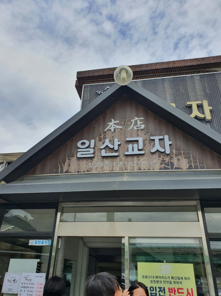 일산칼국수 맛집 내돈내산 일산교자