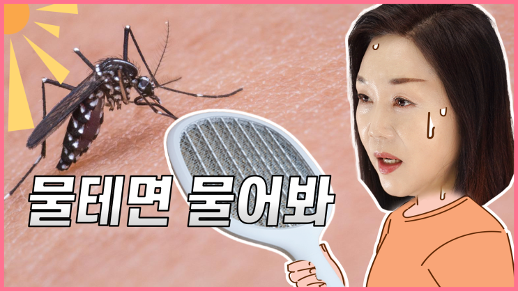  모기 물렸을 때 바르는 아로마 오일 추천 (와일드 티트리)