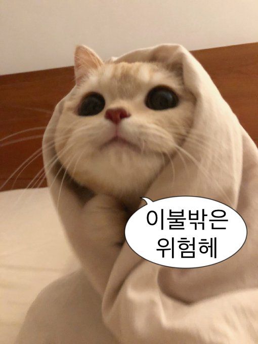  네이버 블로그 주간일기 - 9월 2주차