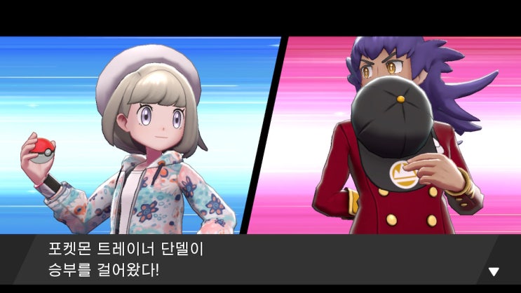  포켓몬스터 소드/실드 공략 13. [엔딩 이후 콘텐츠들]