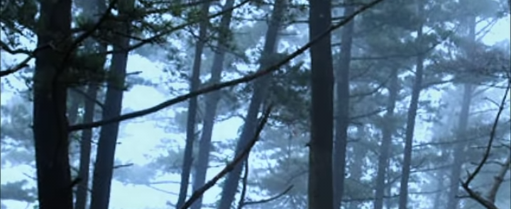 인생을 알고 싶다면 인생을 알고 싶다면