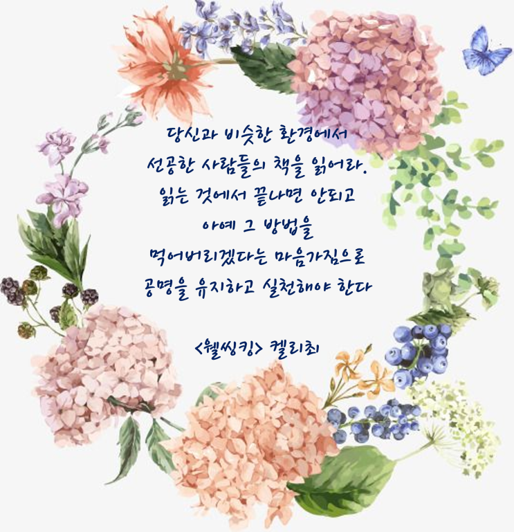  웰씽킹 켈리최