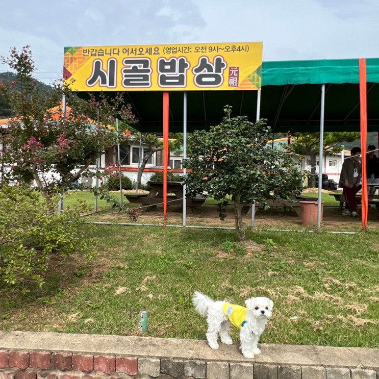  [태안 백반 맛집] 게국지, 게장이 싫으면 여기로! ‘시골밥상’