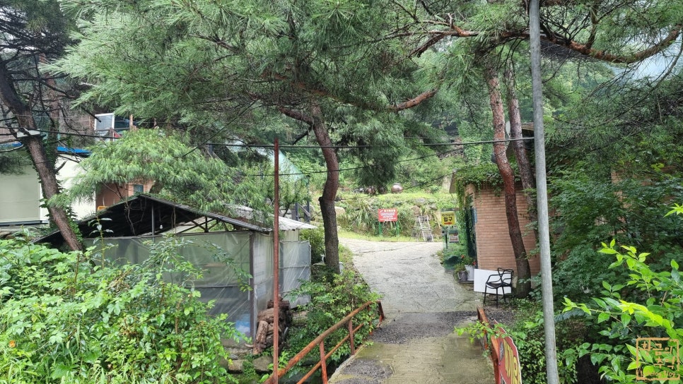 칠봉산레져타운 사진 3