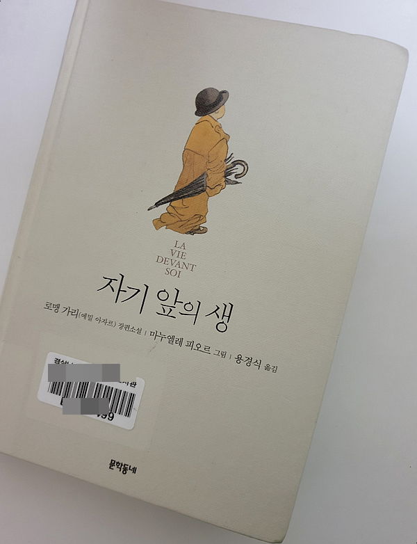  자기 앞의 생(LA VIE DEVANT SOI)  로맹 가리(에밀 아자르) 소설 / 마누엘레 피오르 그림