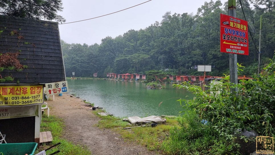 칠봉산레져타운 사진 6