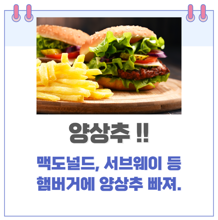  맥도날드, 서브웨이 등 햄버거 프렌차이즈점 양상추 빠져있다.. 날씨로 인해 양상추 수급이 어려워져..