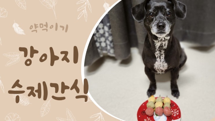 강아지 간식 트릿어스 신호등완자로 약 먹이기 강아지 간식 트릿어스 신호등완자로 약 먹이기
