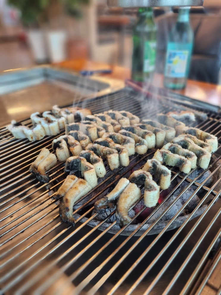  [맛집/부천] 기력회복에는 장어! 까치울역 장어맛집, '복사골한방민물장어'