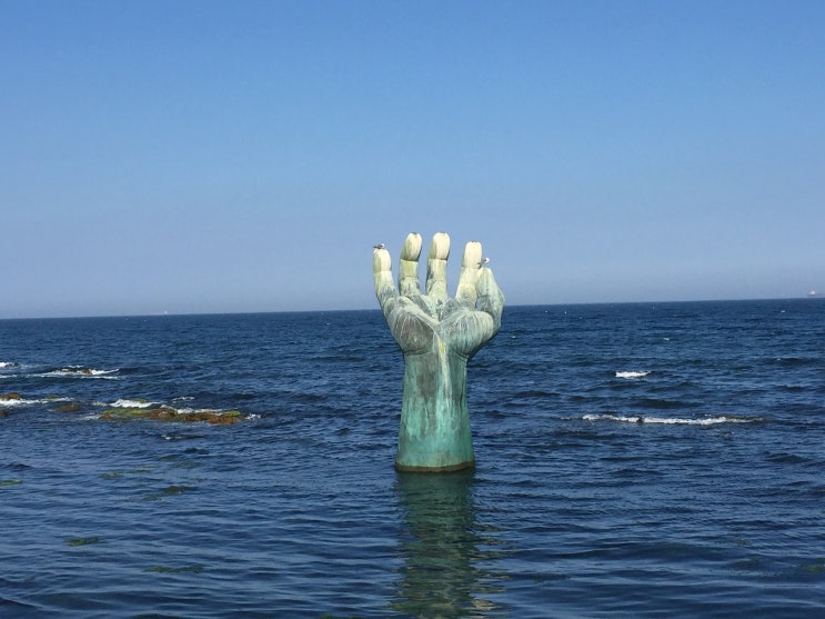  포항 힌남노로 힘들어하는데 그걸 역 이용한 도둑놈