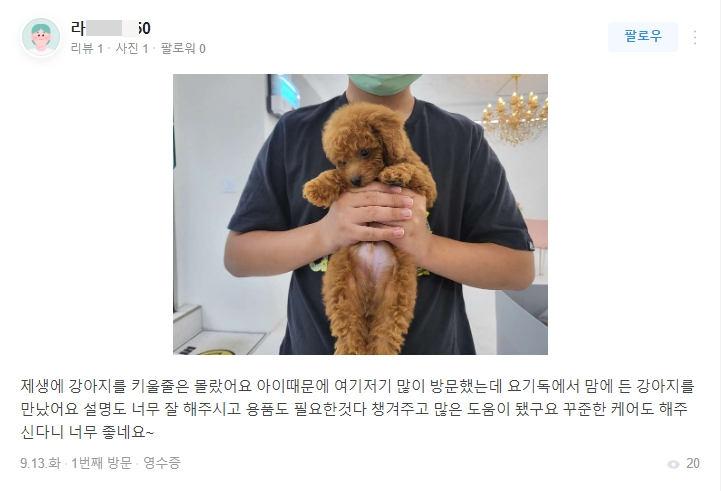  새가족의 품으로 :) 천안푸들분양 탄이