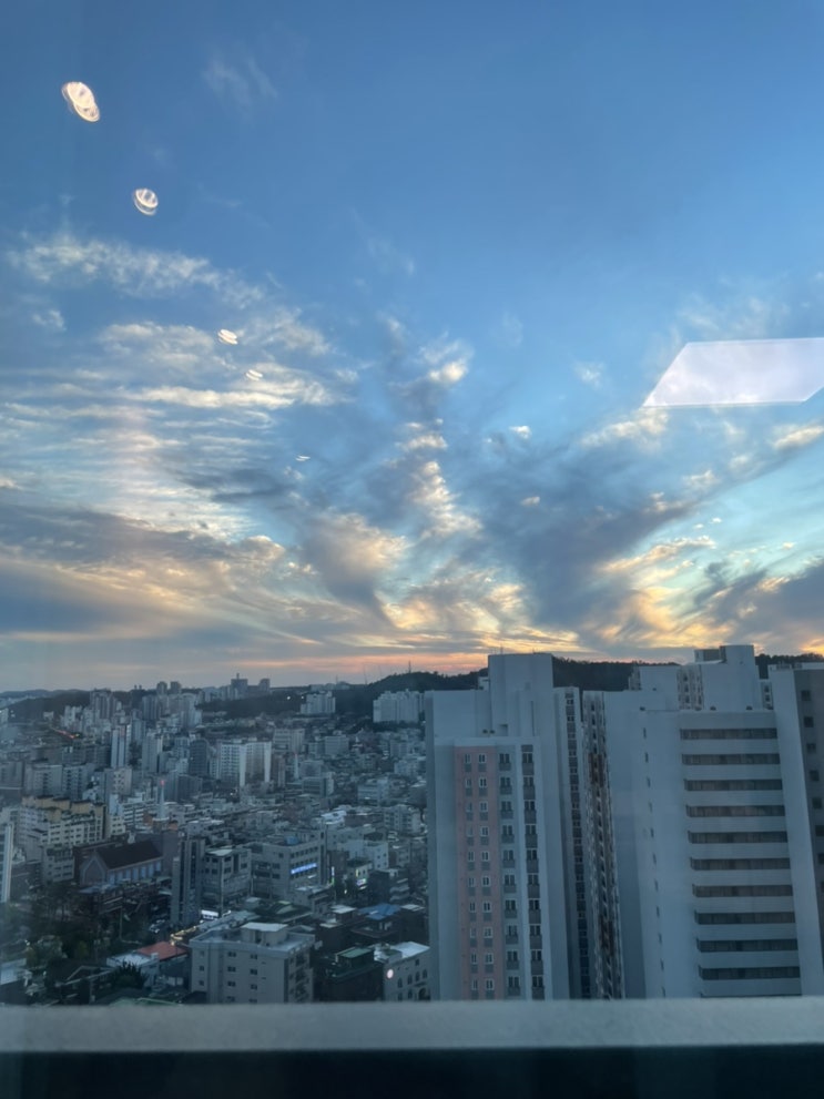  (블챌) 주간일기 여덟번째