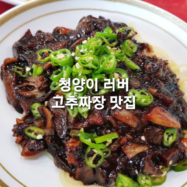  충주 단월동 짜장면 탕수육 맛집